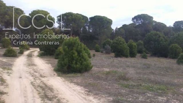 Building Plot for sale in Almonte - € 83,000 (Ref: 5056421)
