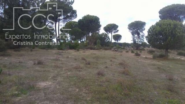 Building Plot for sale in Almonte - € 83,000 (Ref: 5056421)