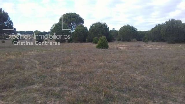 Building Plot for sale in Almonte - € 83,000 (Ref: 5056421)