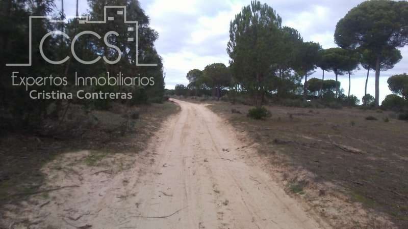 Byggegrund til salg i Almonte - € 83.000 (Ref: 5056421)