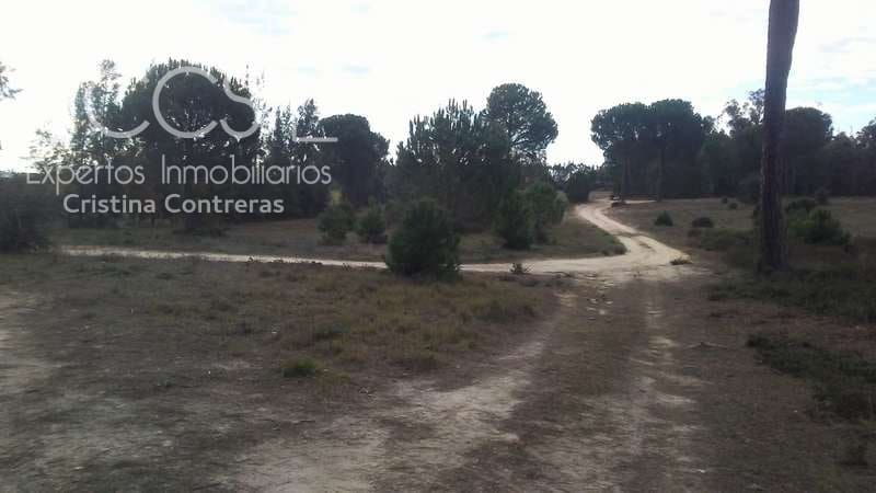 Byggegrund til salg i Almonte - € 83.000 (Ref: 5056421)