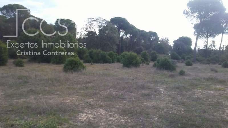 Byggegrund til salg i Almonte - € 83.000 (Ref: 5056421)