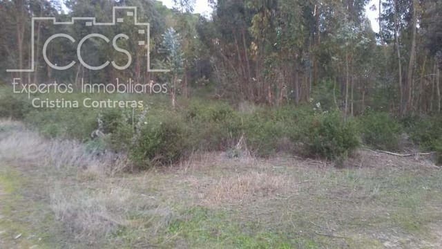 Building Plot for sale in Almonte - € 83,000 (Ref: 5056421)