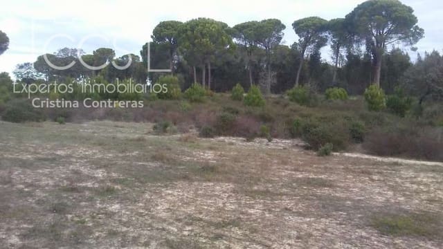 Building Plot for sale in Almonte - € 83,000 (Ref: 5056421)