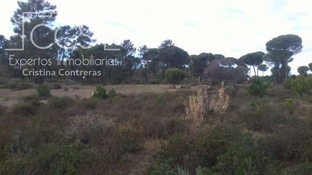 Building Plot for sale in Almonte - € 83,000 (Ref: 5056421)