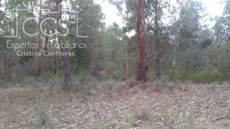 Byggegrund til salg i Almonte - € 83.000 (Ref: 5056421)