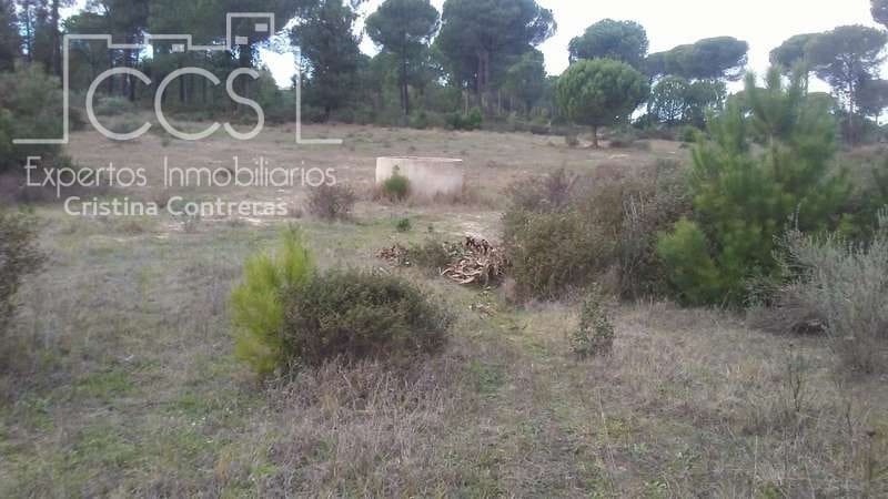 Byggegrund til salg i Almonte - € 83.000 (Ref: 5056421)