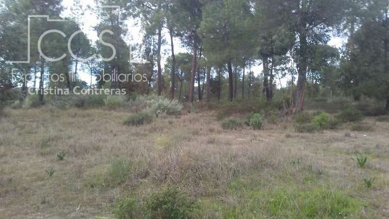 Byggegrund til salg i Almonte - € 83.000 (Ref: 5056421)