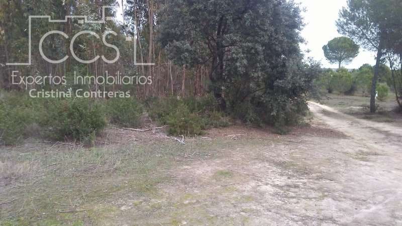 Byggegrund til salg i Almonte - € 83.000 (Ref: 5056421)