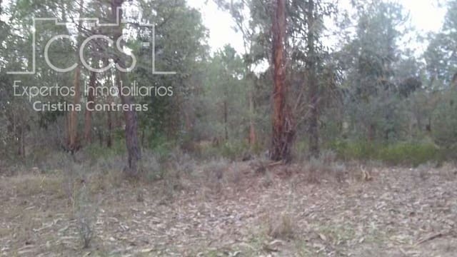 Building Plot for sale in Almonte - € 83,000 (Ref: 5056421)