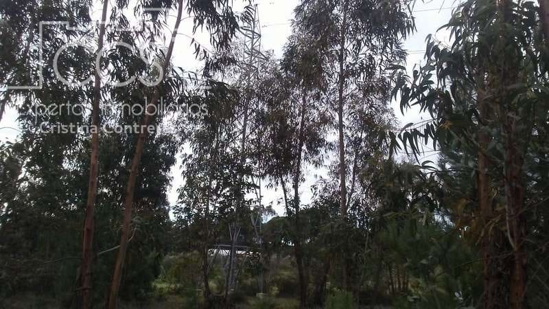 Byggegrund til salg i Almonte - € 83.000 (Ref: 5056421)