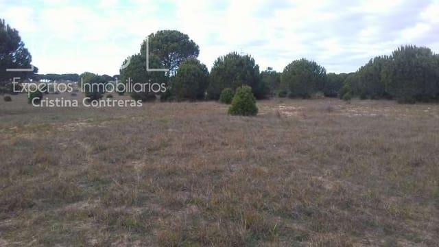 Terreno para Construção para venda em Almonte - 57 000 € (Ref: 5056421)