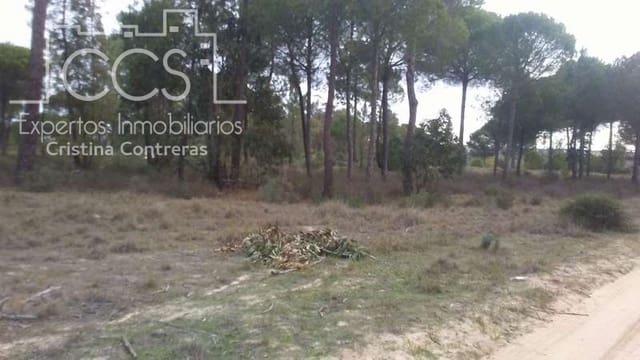 Terreno para Construção para venda em Almonte - 57 000 € (Ref: 5056421)