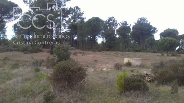 Terreno para Construção para venda em Almonte - 57 000 € (Ref: 5056421)