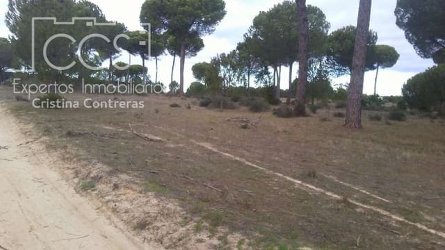 Terreno para Construção para venda em Almonte - 57 000 € (Ref: 5056421)