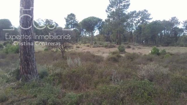 Terreno para Construção para venda em Almonte - 57 000 € (Ref: 5056421)