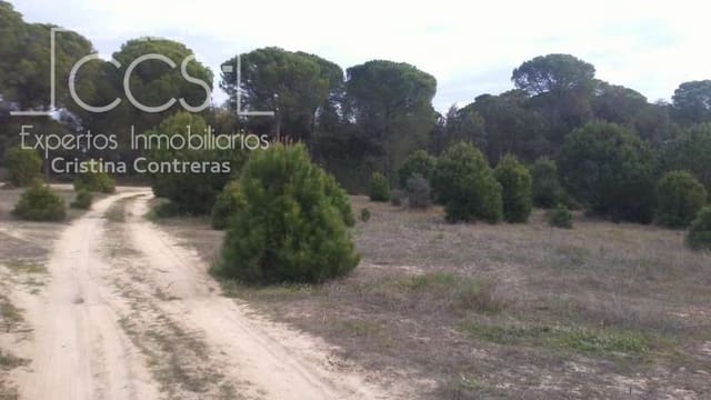 Terreno para Construção para venda em Almonte - 57 000 € (Ref: 5056421)