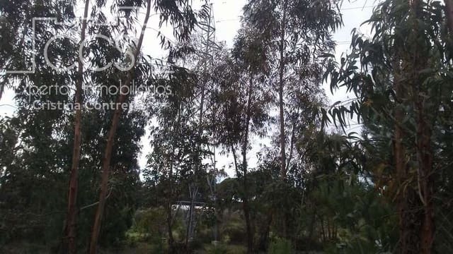 Terreno para Construção para venda em Almonte - 57 000 € (Ref: 5056421)