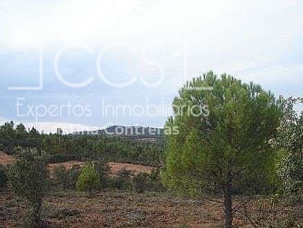 Tomt till salu i El Castillo de las Guardas - 73 500 € (Ref: 5081904)
