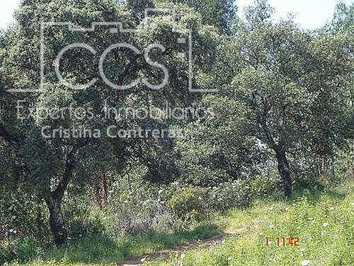 Tomt till salu i El Castillo de las Guardas - 73 500 € (Ref: 5081904)