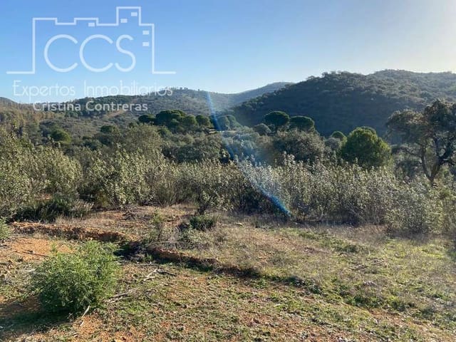 Bouwgrond te koop in El Castillo de las Guardas - € 73.500 (Ref: 5081904)