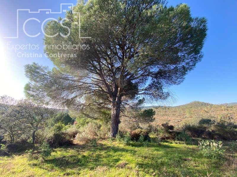 Byggetomt til salgs i El Castillo de las Guardas - € 73 500 (Ref: 5081904)