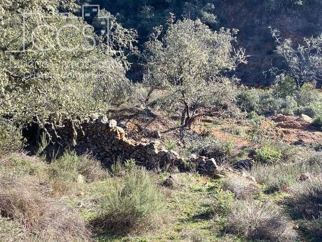 Bouwgrond te koop in El Castillo de las Guardas - € 73.500 (Ref: 5081904)