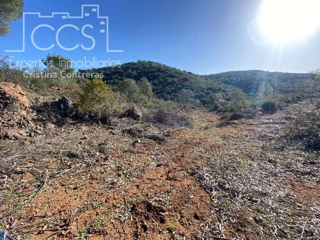 Bouwgrond te koop in El Castillo de las Guardas - € 73.500 (Ref: 5081904)