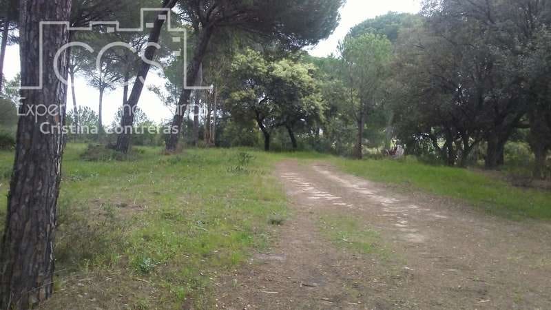 2 soverom Finca/Herregård til salgs i Almonte - € 250 000 (Ref: 5190835)