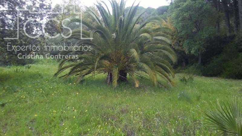 2 soverom Finca/Herregård til salgs i Almonte - € 250 000 (Ref: 5190835)