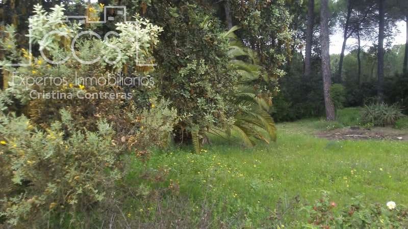 2 soverom Finca/Herregård til salgs i Almonte - € 250 000 (Ref: 5190835)