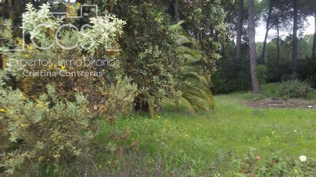 2 bedroom Finca/Country House for sale in Almonte - € 250,000 (Ref: 5190835)