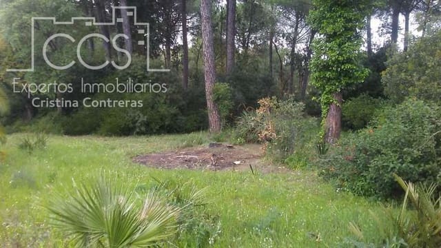 2 bedroom Finca/Country House for sale in Almonte - € 250,000 (Ref: 5190835)