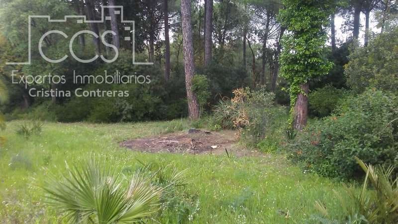 2 bedroom Finca/Country House for sale in Almonte - € 250,000 (Ref: 5190835)