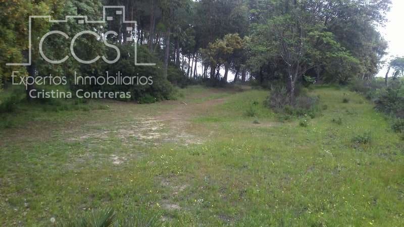 2 bedroom Finca/Country House for sale in Almonte - € 250,000 (Ref: 5190835)