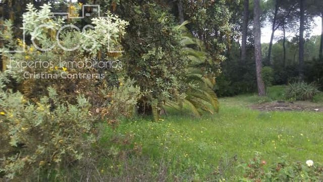 2 soverom Finca/Herregård til salgs i Almonte - € 250 000 (Ref: 5190835)