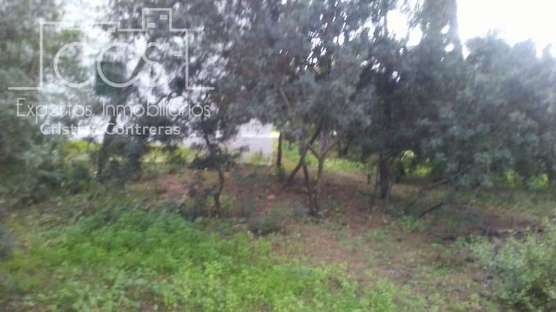 2 bedroom Finca/Country House for sale in Almonte - € 250,000 (Ref: 5190835)