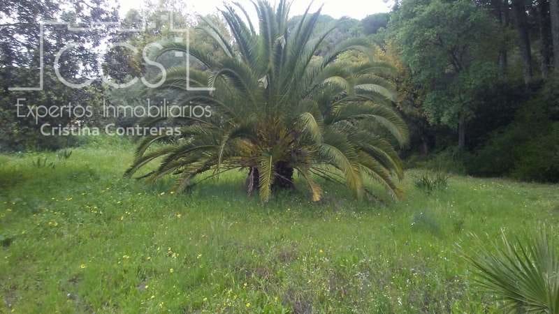 2 bedroom Finca/Country House for sale in Almonte - € 250,000 (Ref: 5190835)