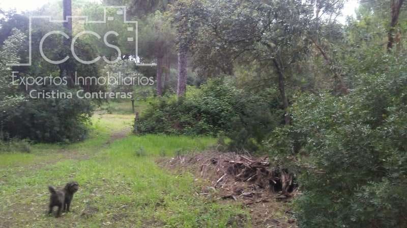 2 bedroom Finca/Country House for sale in Almonte - € 250,000 (Ref: 5190835)