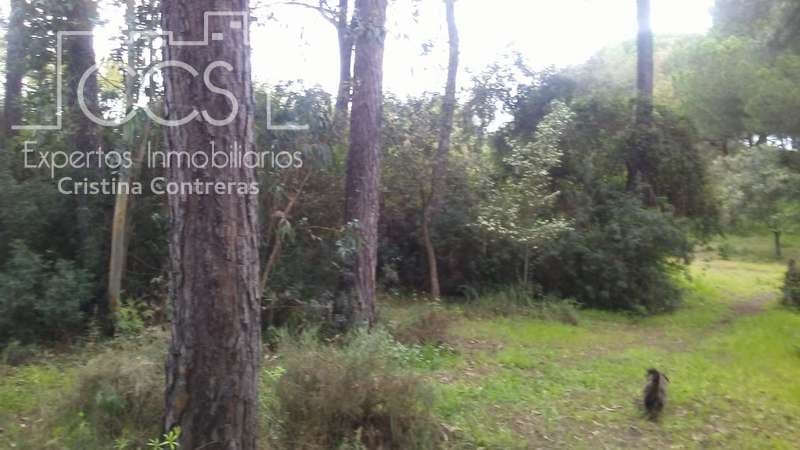 2 bedroom Finca/Country House for sale in Almonte - € 250,000 (Ref: 5190835)