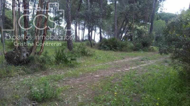 2 bedroom Finca/Country House for sale in Almonte - € 250,000 (Ref: 5190835)