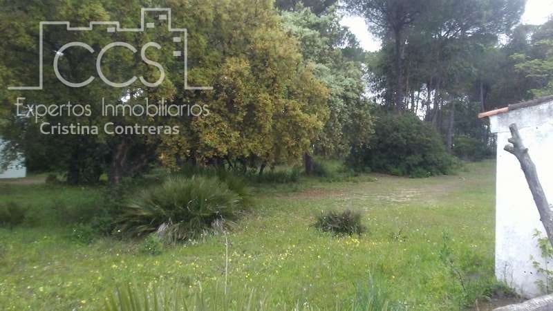 2 bedroom Finca/Country House for sale in Almonte - € 250,000 (Ref: 5190835)