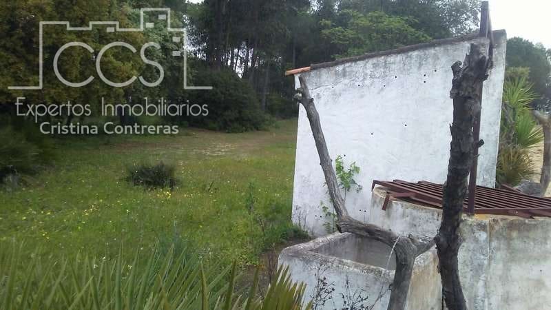 2 bedroom Finca/Country House for sale in Almonte - € 250,000 (Ref: 5190835)
