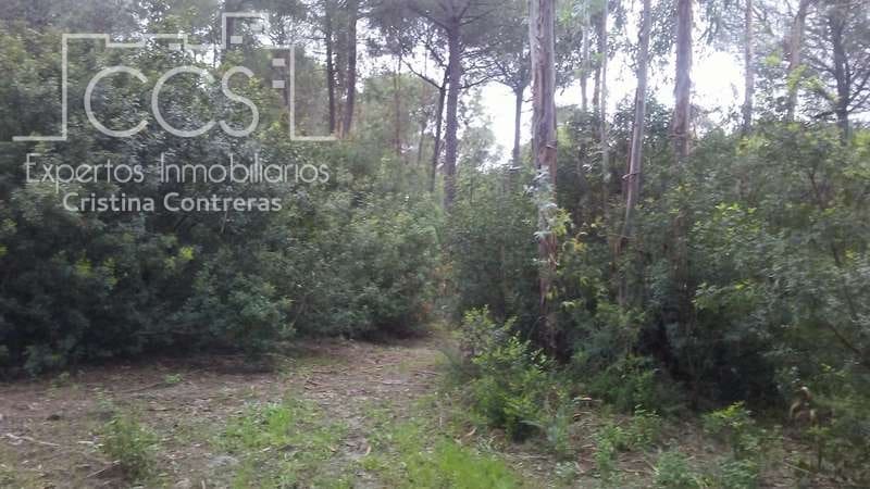 2 bedroom Finca/Country House for sale in Almonte - € 250,000 (Ref: 5190835)