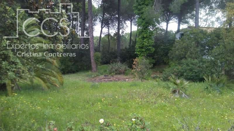 2 bedroom Finca/Country House for sale in Almonte - € 250,000 (Ref: 5190835)
