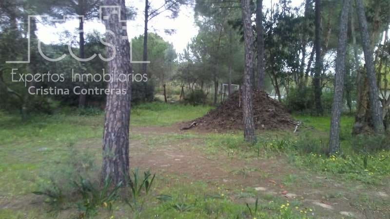 2 bedroom Finca/Country House for sale in Almonte - € 250,000 (Ref: 5190835)