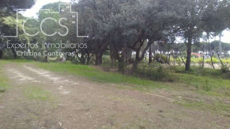 2 bedroom Finca/Country House for sale in Almonte - € 250,000 (Ref: 5190835)