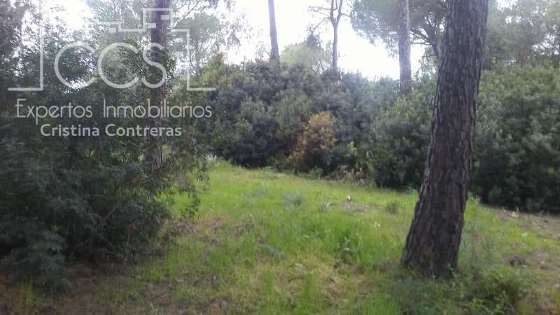 2 bedroom Finca/Country House for sale in Almonte - € 250,000 (Ref: 5190835)