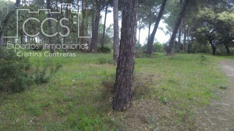 2 bedroom Finca/Country House for sale in Almonte - € 250,000 (Ref: 5190835)
