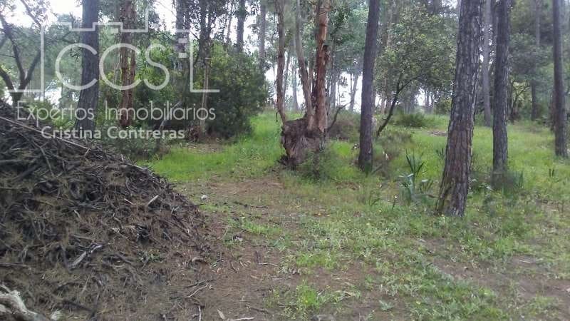 2 bedroom Finca/Country House for sale in Almonte - € 250,000 (Ref: 5190835)